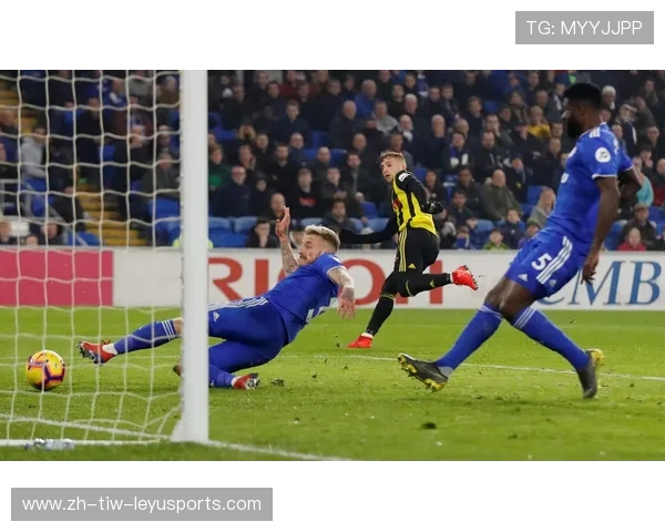 卡迪夫城俱乐部介绍：英超蓝鸟的升降历史与未来展望